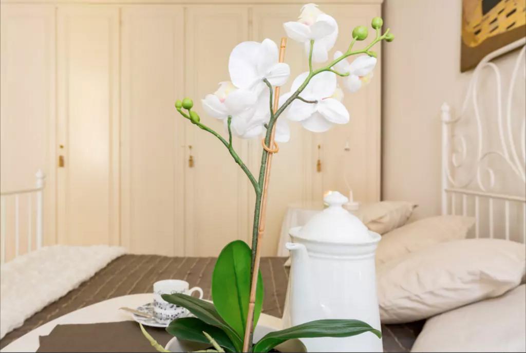 Via Laurina 40 Apartment Ρώμη Εξωτερικό φωτογραφία